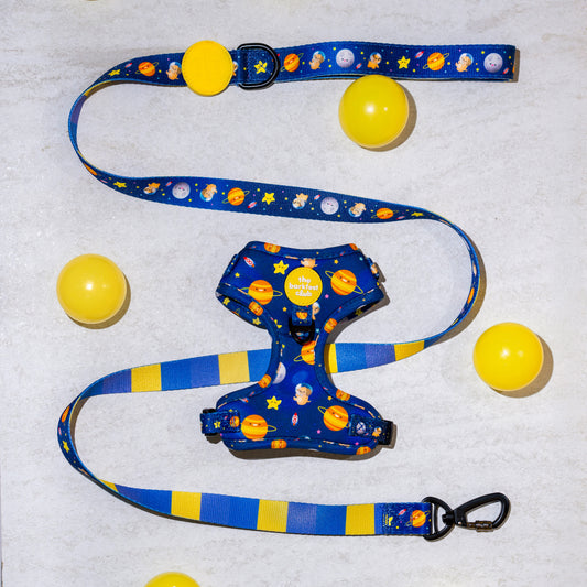 PUP, PUP & AWAY | Bundle
