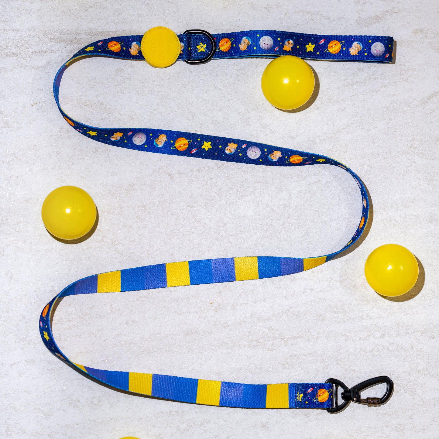 PUP, PUP & AWAY | Leash