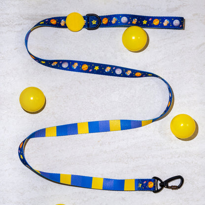 PUP, PUP & AWAY | Leash