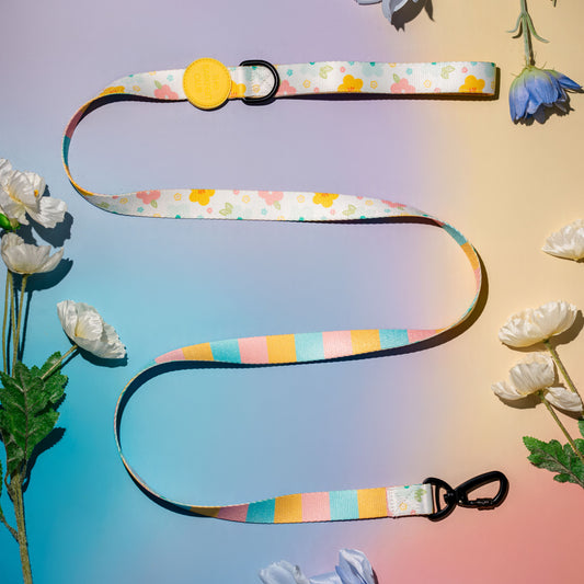 SPRING BLOSSOM | Leash
