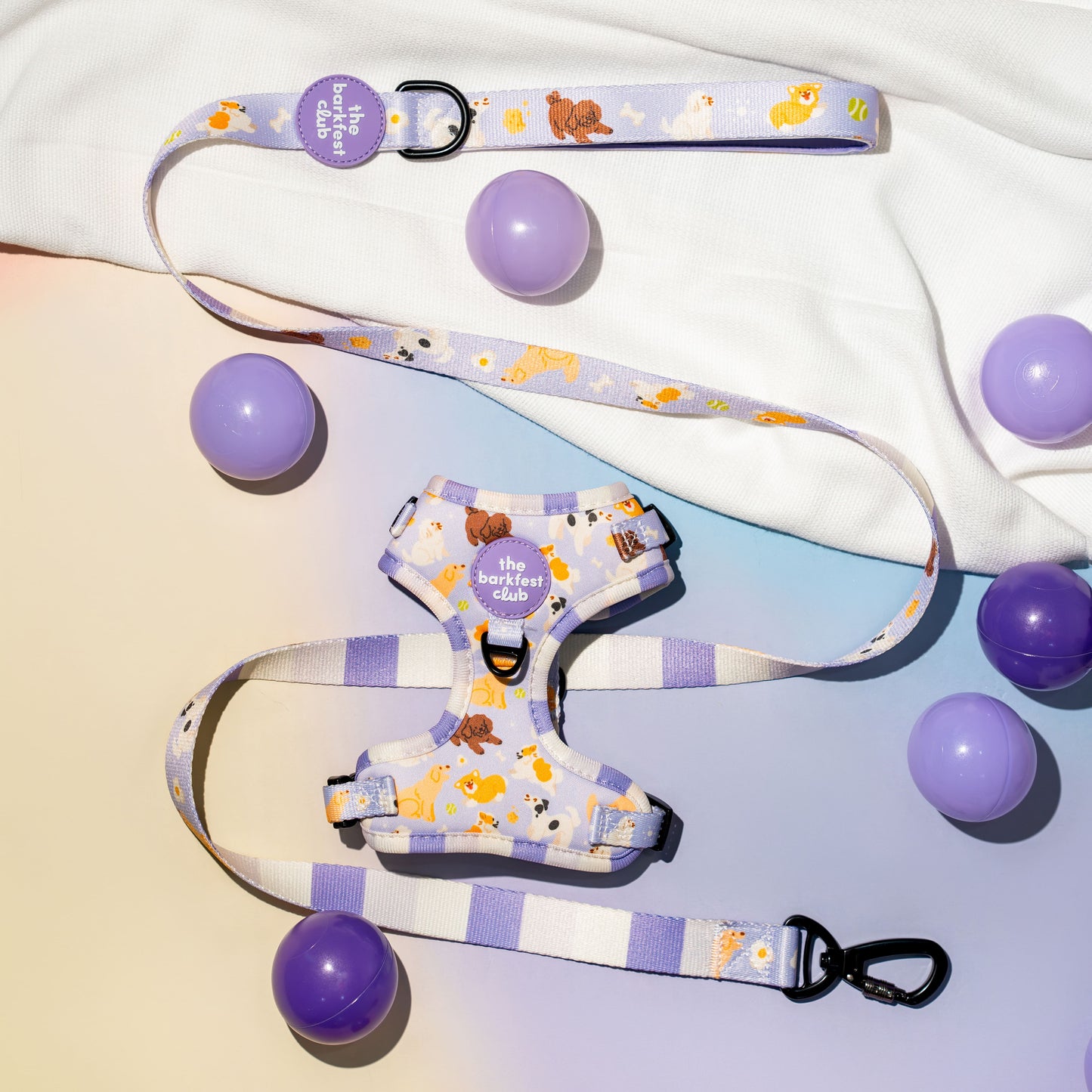 PAW BUDDIES  | Bundle