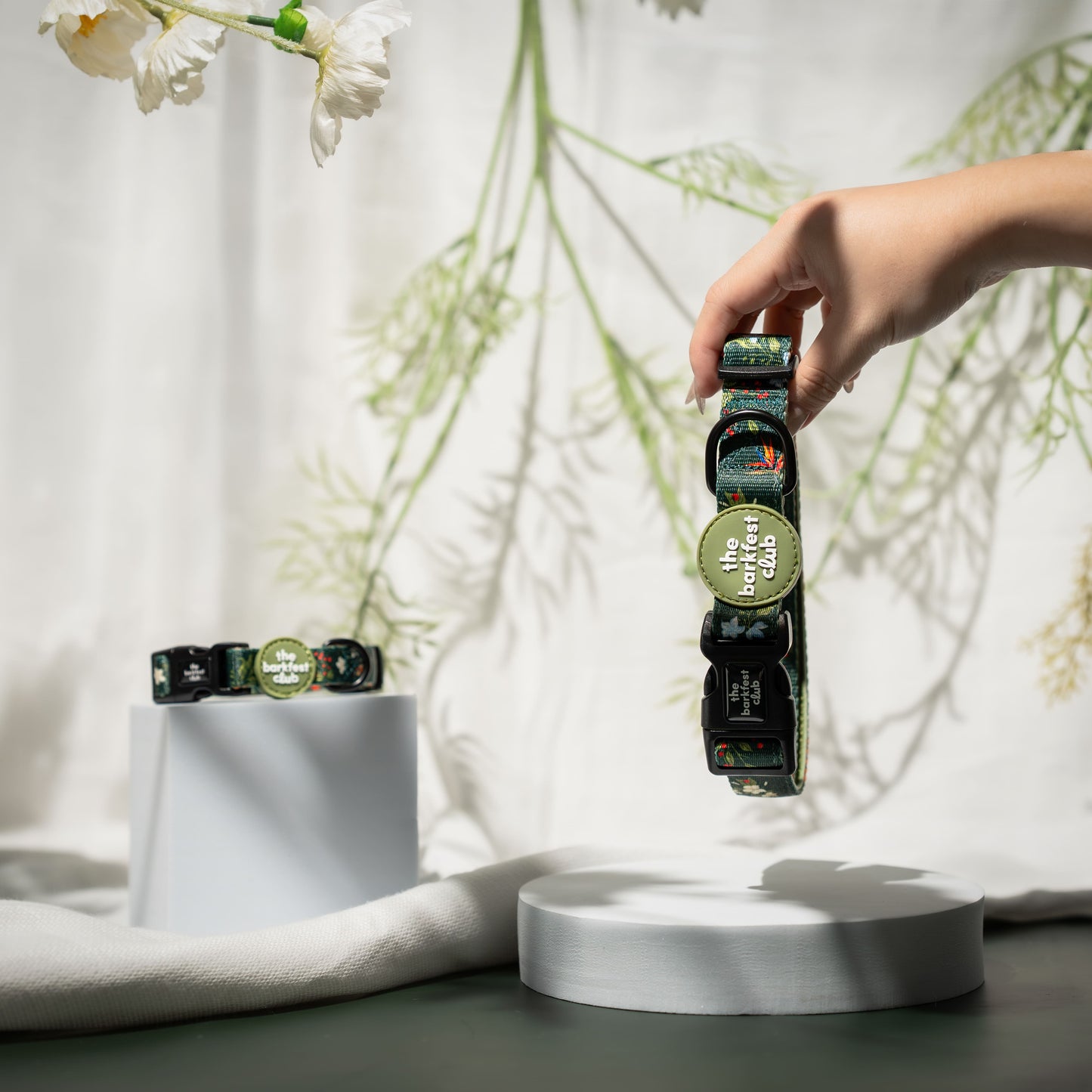 WILD FOREST | Collar