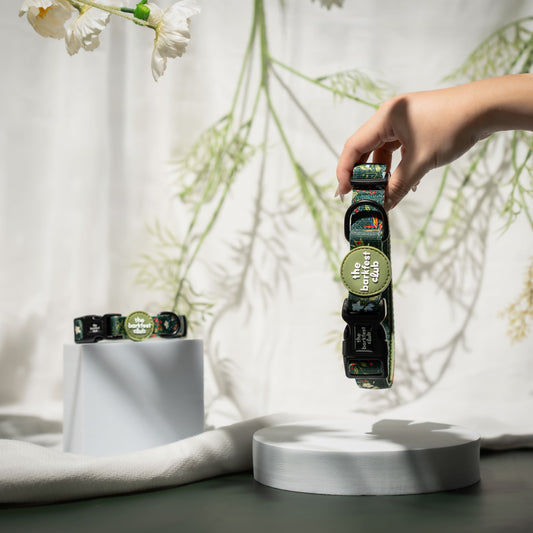 WILD FOREST | Collar