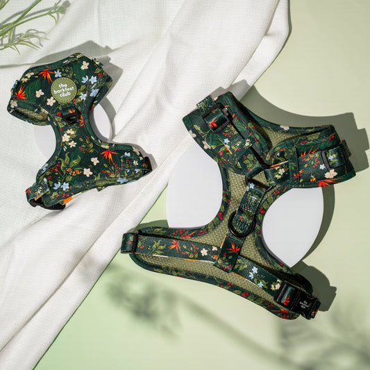 WILD FOREST  | Adjustable Harness