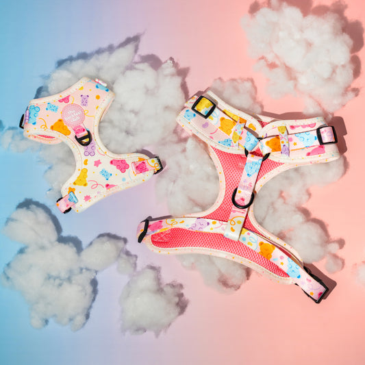 GUMMY PAWS | Adjustable Harness
