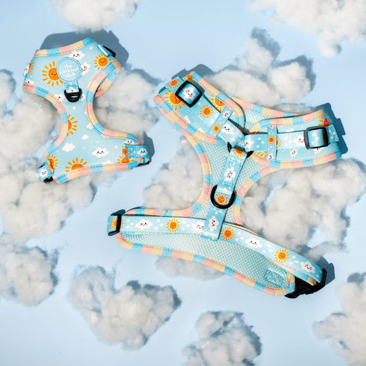 SUNNY-SIDE PUP | Adjustable Harness