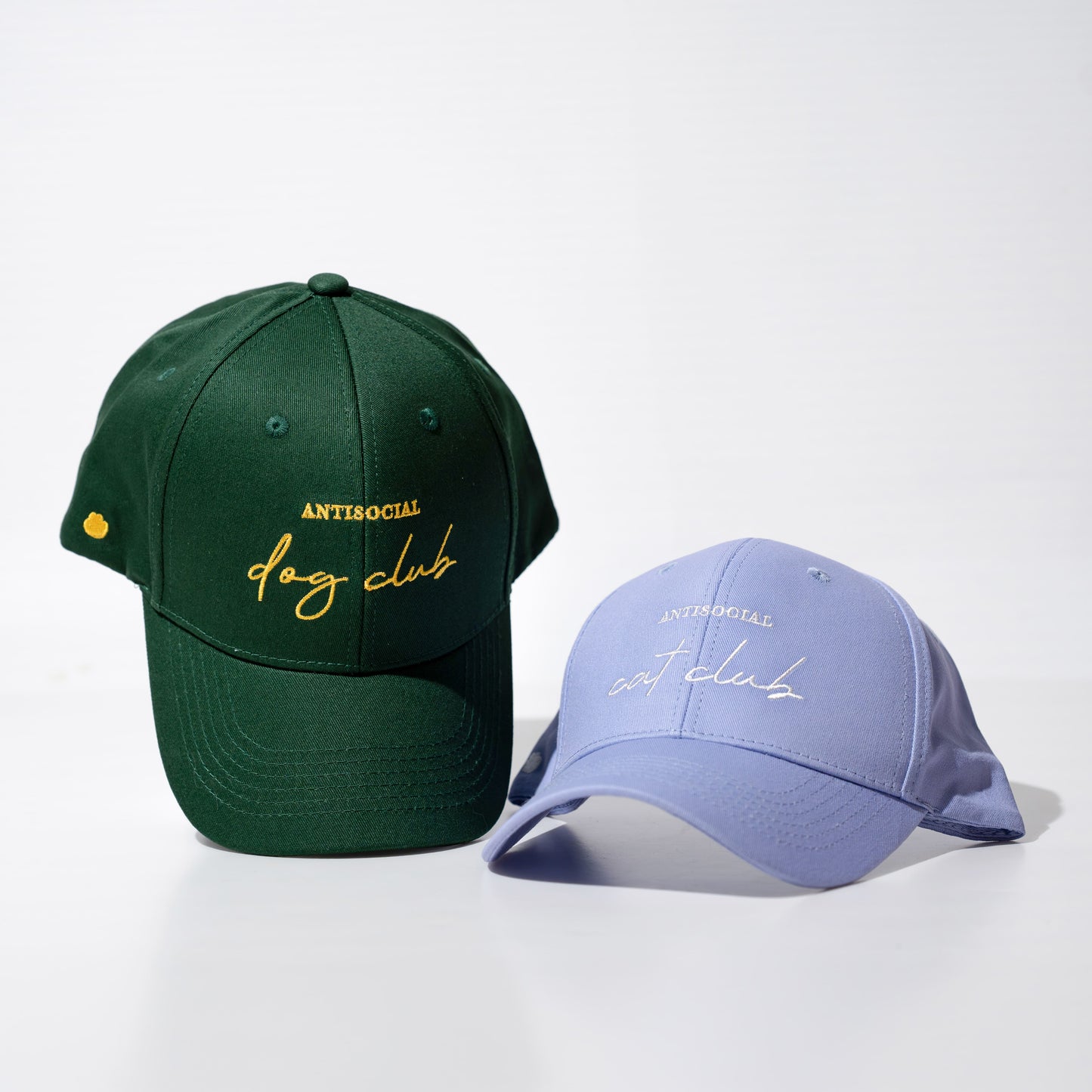 ANTISOCIAL CAT CLUB | Cap