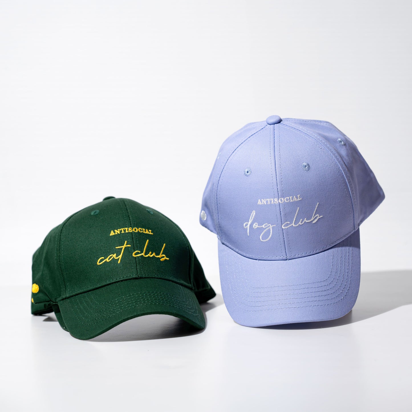 ANTISOCIAL CAT CLUB | Cap