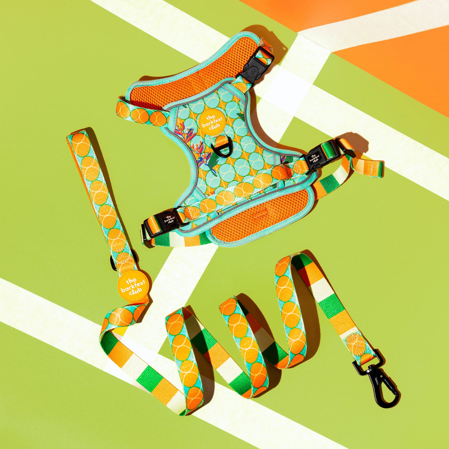 SKY OF PARADISE | Adventure Harness