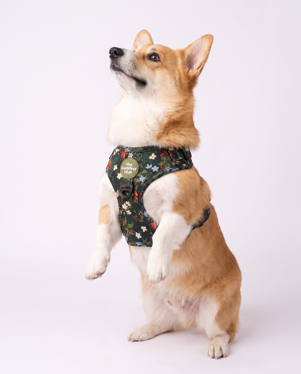 WILD FOREST  | Adjustable Harness