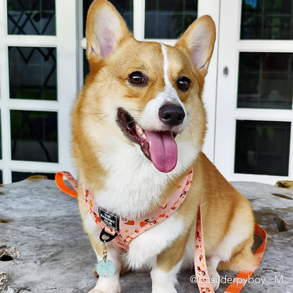 PEACHY BUTT CORGI | Adjustable Harness