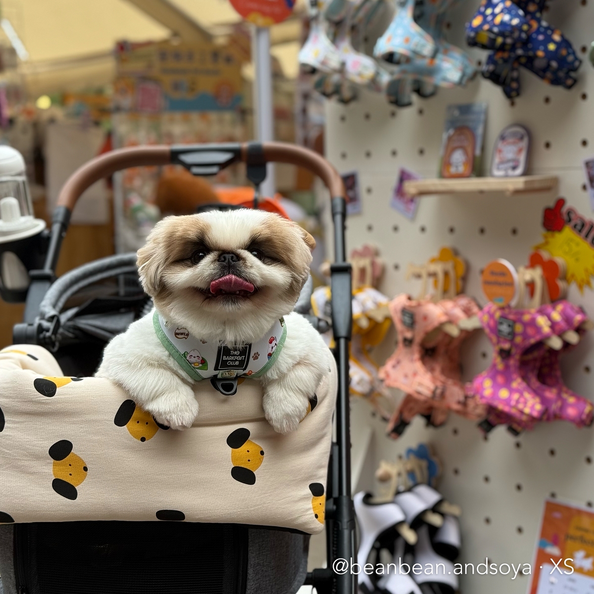 THE MALAYSIAN FOODIE | Adjustable Harness