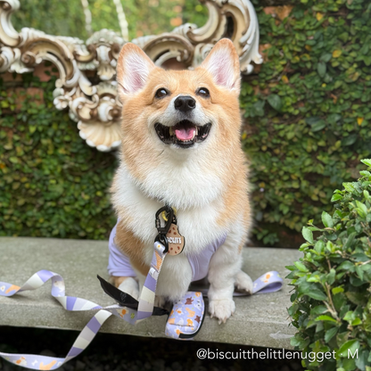PAW BUDDIES  | Adjustable Harness