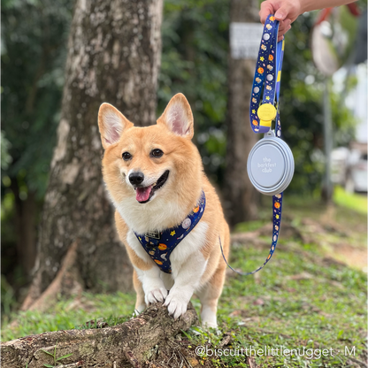 PUP, PUP & AWAY | Adjustable Harness