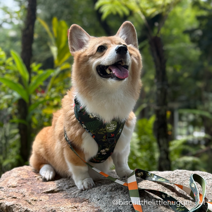WILD FOREST  | Adjustable Harness