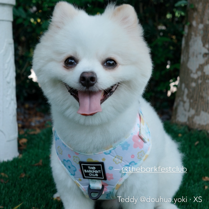 SPRING BLOSSOM | Adjustable Harness