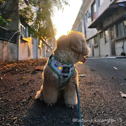 THE MALAYSIAN FOODIE | Adjustable Harness