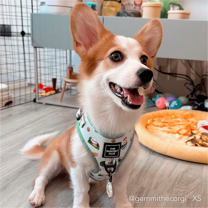 THE MALAYSIAN FOODIE | Adjustable Harness