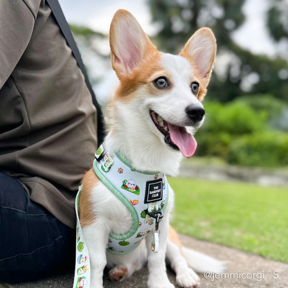 THE MALAYSIAN FOODIE | Adjustable Harness