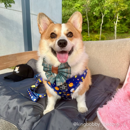 PUP, PUP & AWAY | Adjustable Harness