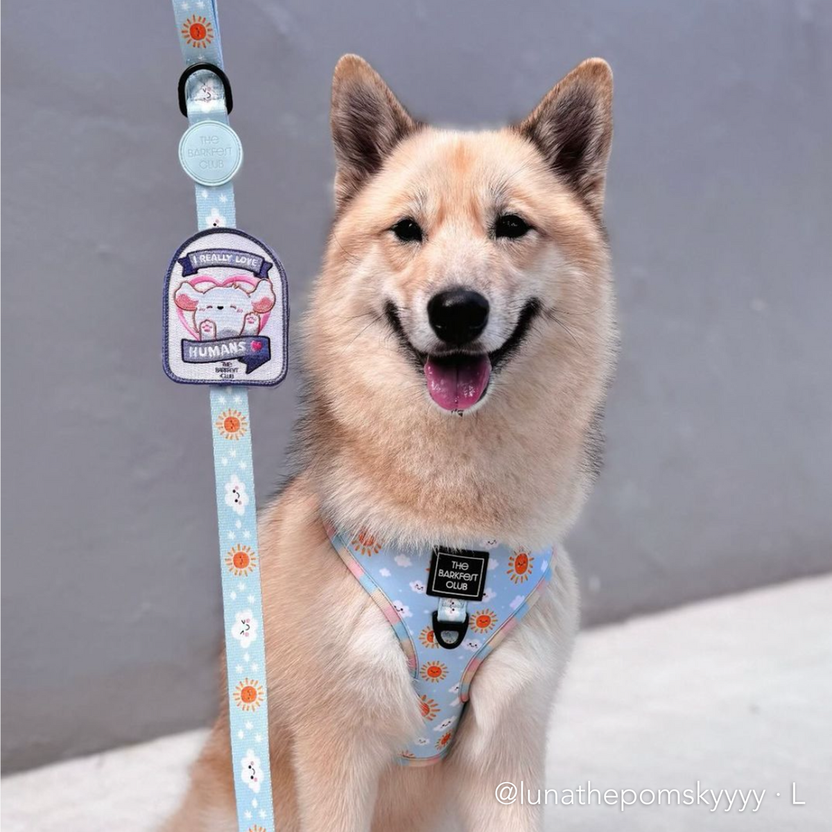 SUNNY-SIDE PUP | Adjustable Harness