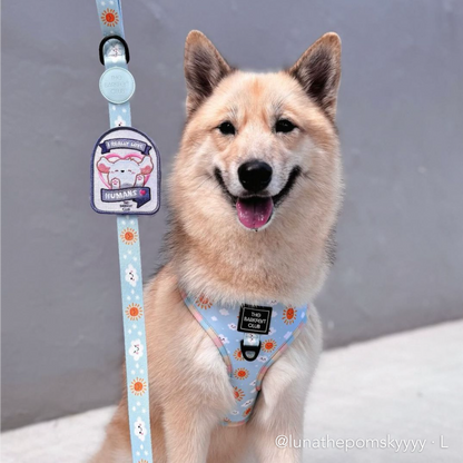 SUNNY-SIDE PUP | Adjustable Harness