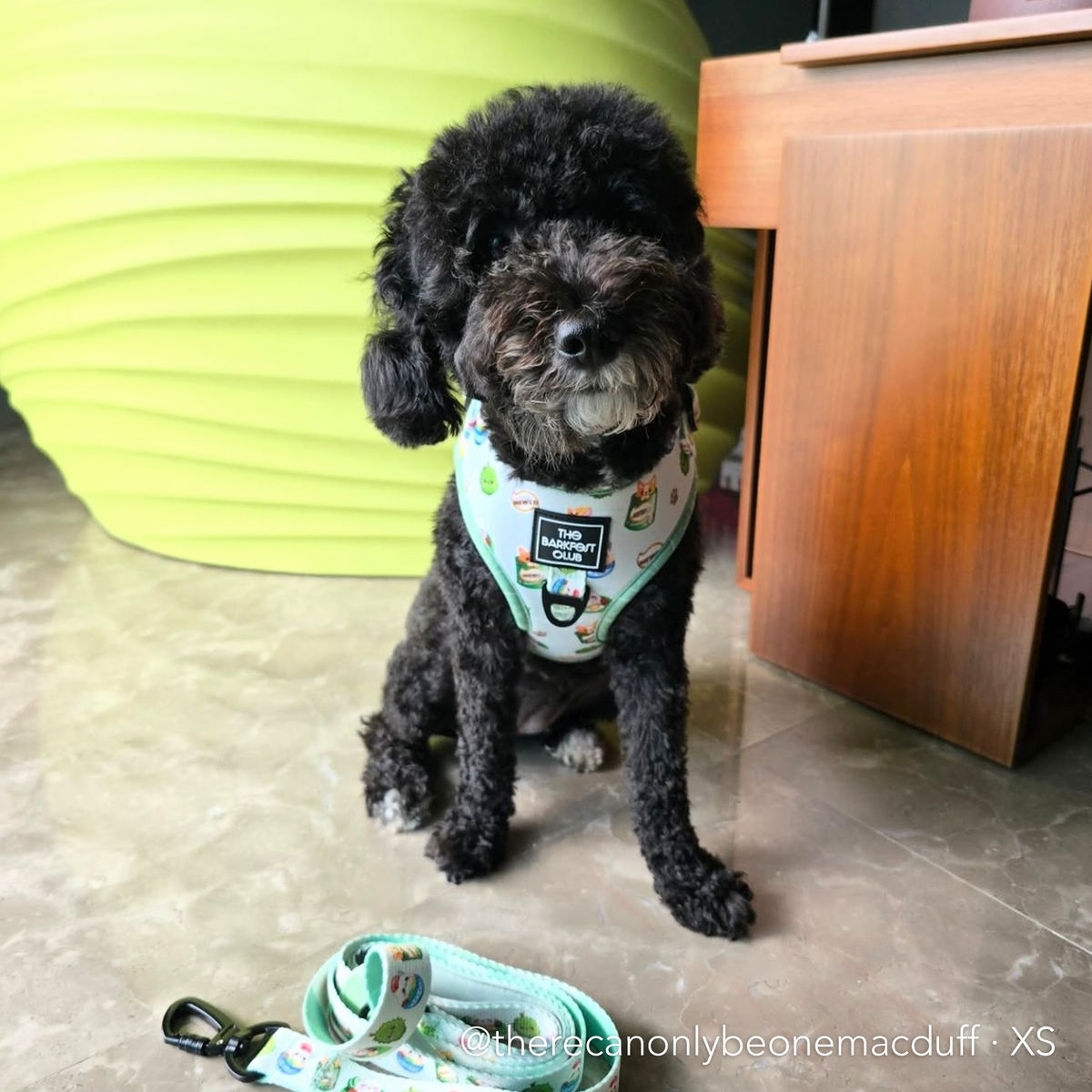THE MALAYSIAN FOODIE | Adjustable Harness