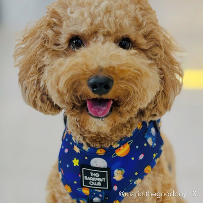 PUP, PUP & AWAY | Adjustable Harness