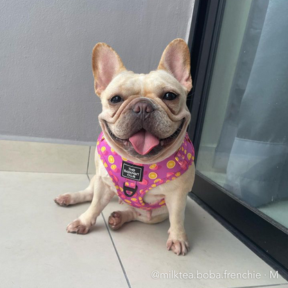PINK LEMONADE | Adjustable Harness