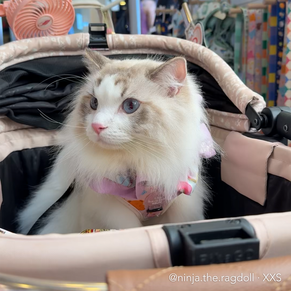 GUMMY PAWS | Adjustable Harness