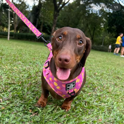 PINK LEMONADE | Adjustable Harness