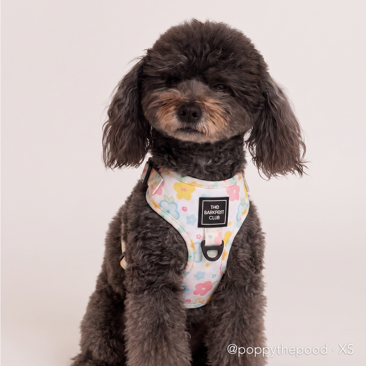 SPRING BLOSSOM | Adjustable Harness