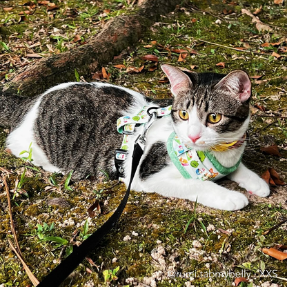 THE MALAYSIAN FOODIE | Adjustable Harness