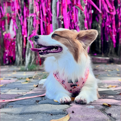 PEACHY BUTT CORGI | Adjustable Harness