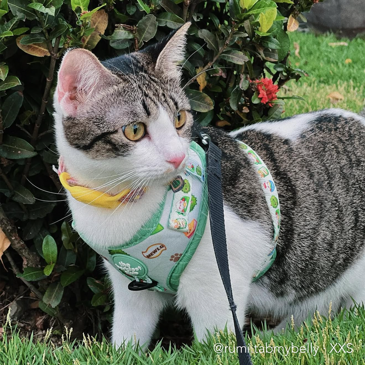 THE MALAYSIAN FOODIE | Adjustable Harness