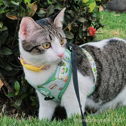 THE MALAYSIAN FOODIE | Adjustable Harness