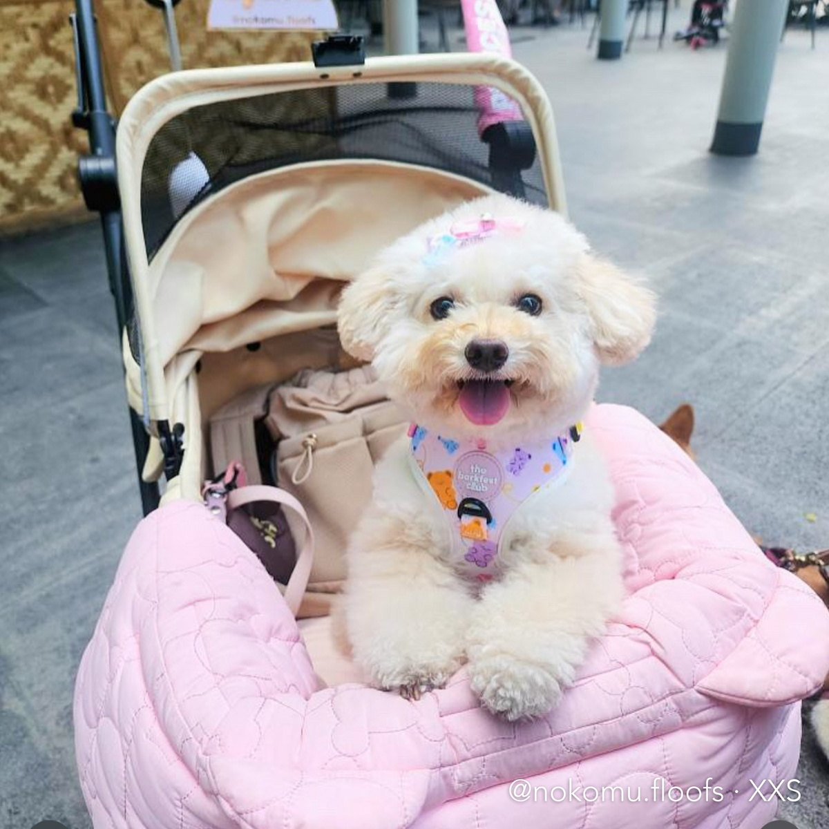GUMMY PAWS | Adjustable Harness
