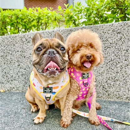 PINK LEMONADE | Leash